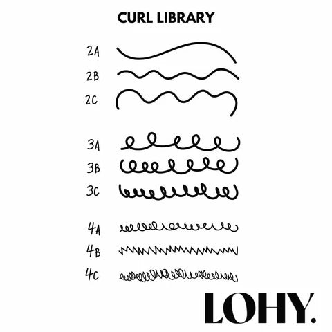 Curly Hair Types Diagram